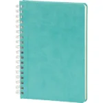 Spiralli Tarihsiz Defter 17 x 24 cm