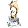 Kristal Plaket 10 x 20 cm