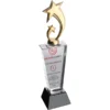 Kristal Plaket 10 x 30 cm