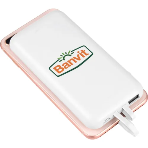 Powerbank 10.000 mAh