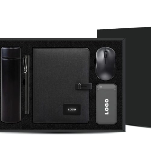 ST-HS100