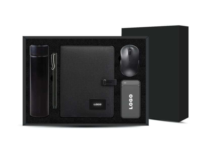St-hs100