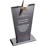 EKT-128 Füme Kristal Plaket