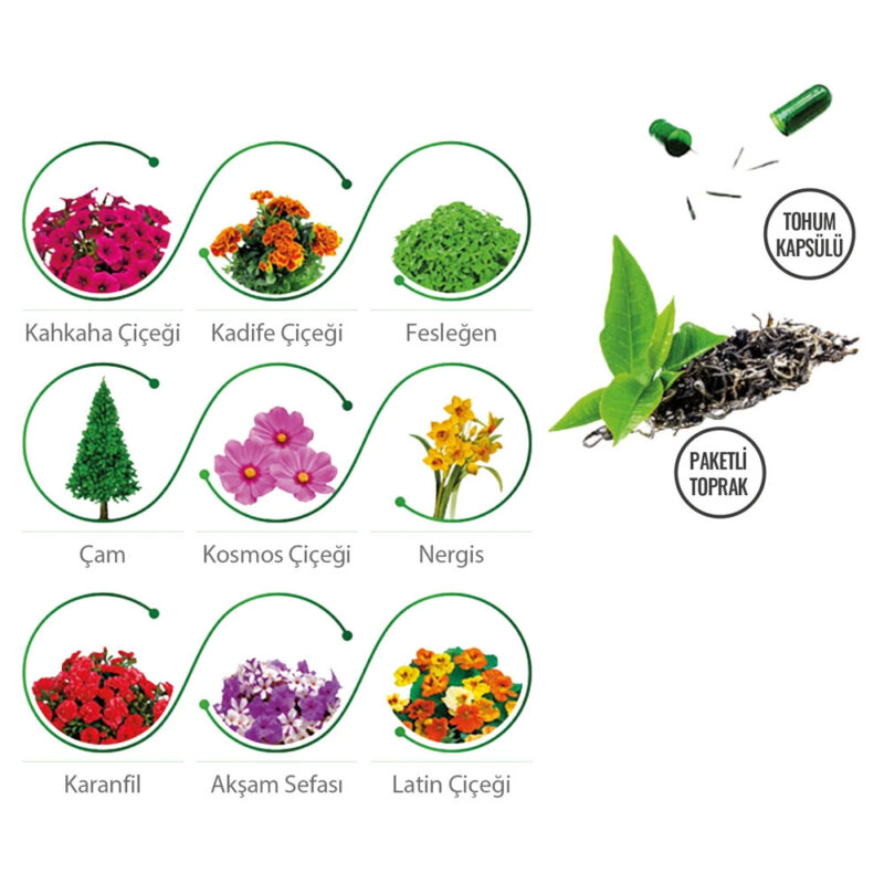 Ck-2025 6,5 x 4,2 x 6 cm bitki yetiştirme seti