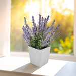 CK-2015 7,5 x 6 x 8,3 cm Bitki Yetiştirme Seti