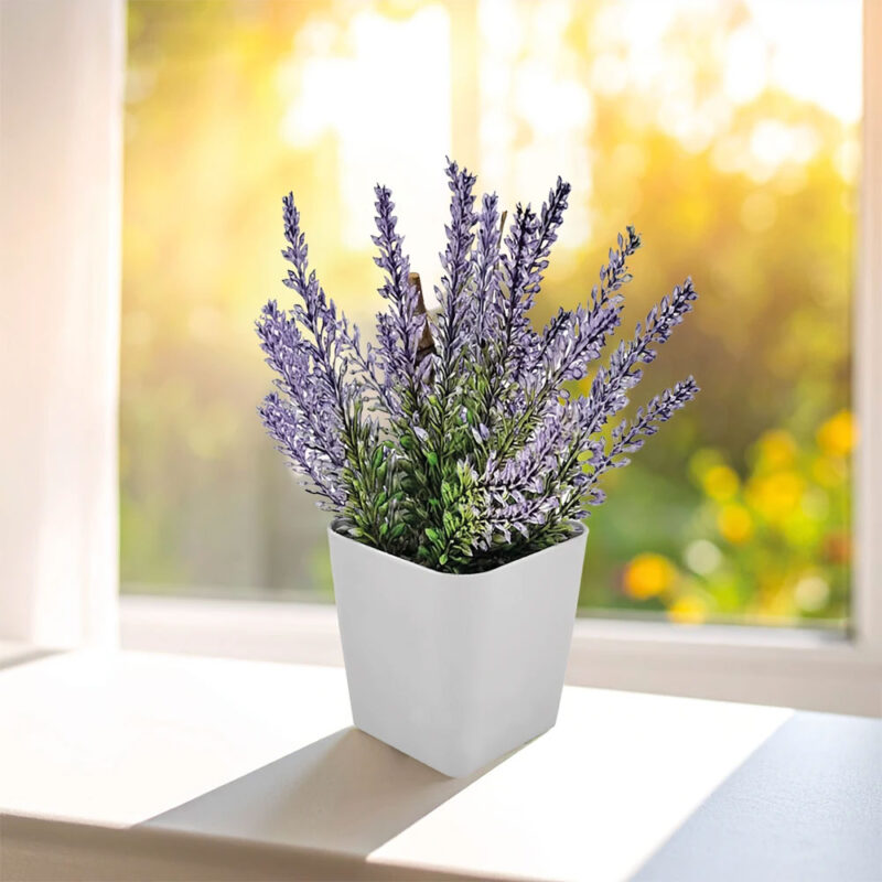 Ck-2015 7,5 x 6 x 8,3 cm bitki yetiştirme seti