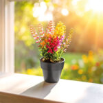 CK-2025 6,5 x 4,2 x 6 cm Bitki Yetiştirme Seti