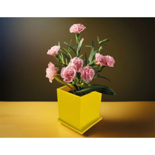 CK-2035 7,6 x 7,6 x 8 cm Kapaklı Bitki Dikim Seti