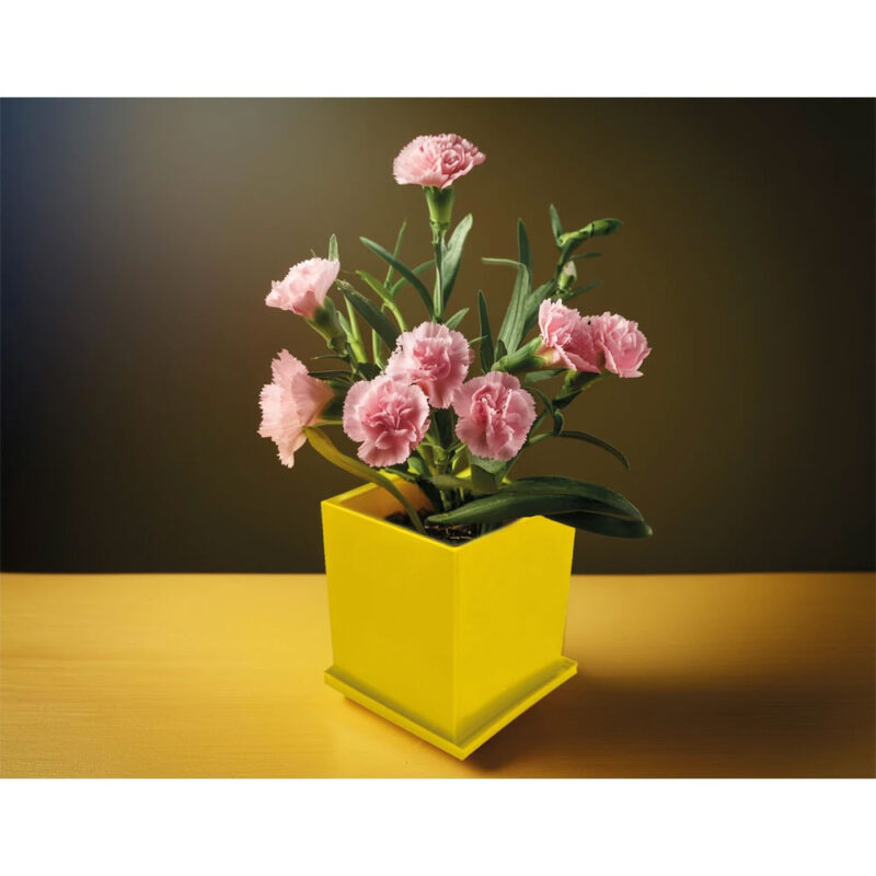 APLUS PROMOSYON ÜRÜNLERI » Ck-2035 7,6 x 7,6 x 8 cm kapaklı bitki dikim seti