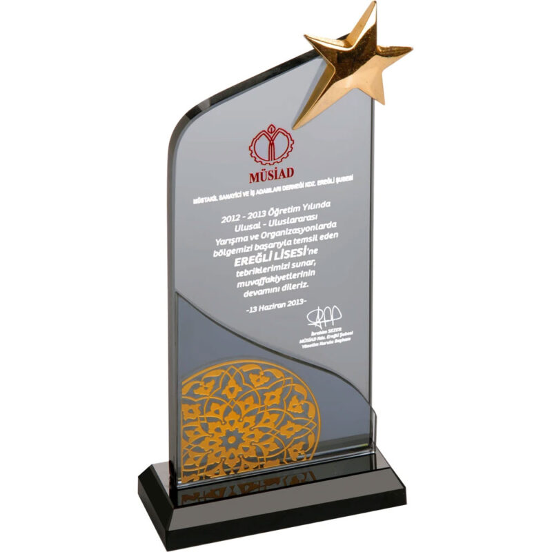 Ekt-101 12 x 26 cm kristal plaket