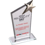 EKT-110 12 x 21 cm Şeffaf Kristal Plaket