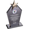 EKT-170 12 x 21 cm Füme Kristal Plaket