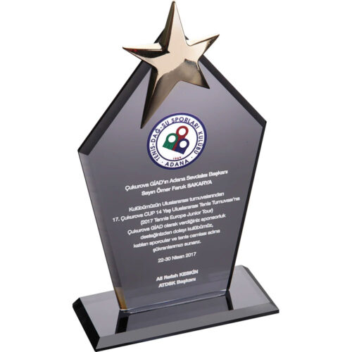 EKT-170 12 x 21 cm Füme Kristal Plaket