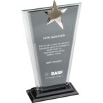 EKT-210 13 x 23 cm Kristal Plaket