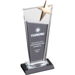 EKT-215 11 x 26 cm Kristal Plaket