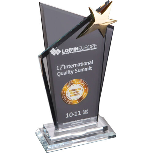 EKT-220 14 x 26 cm Kristal Plaket