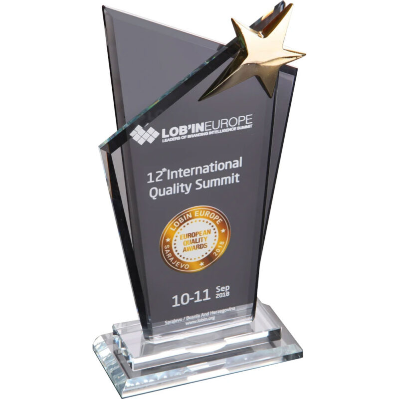 Ekt-220 14 x 26 cm kristal plaket