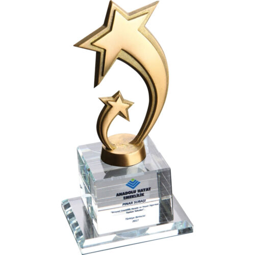 EKT-230 10 x 20 cm Kristal Plaket