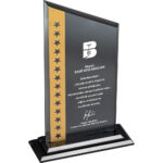 EKT-315 15 x 25 cm Kristal Plaket