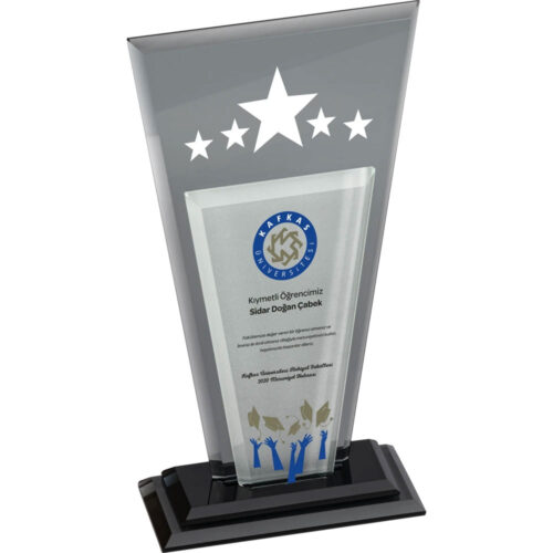 EKT-360 13 x 25 cm Kristal Plaket