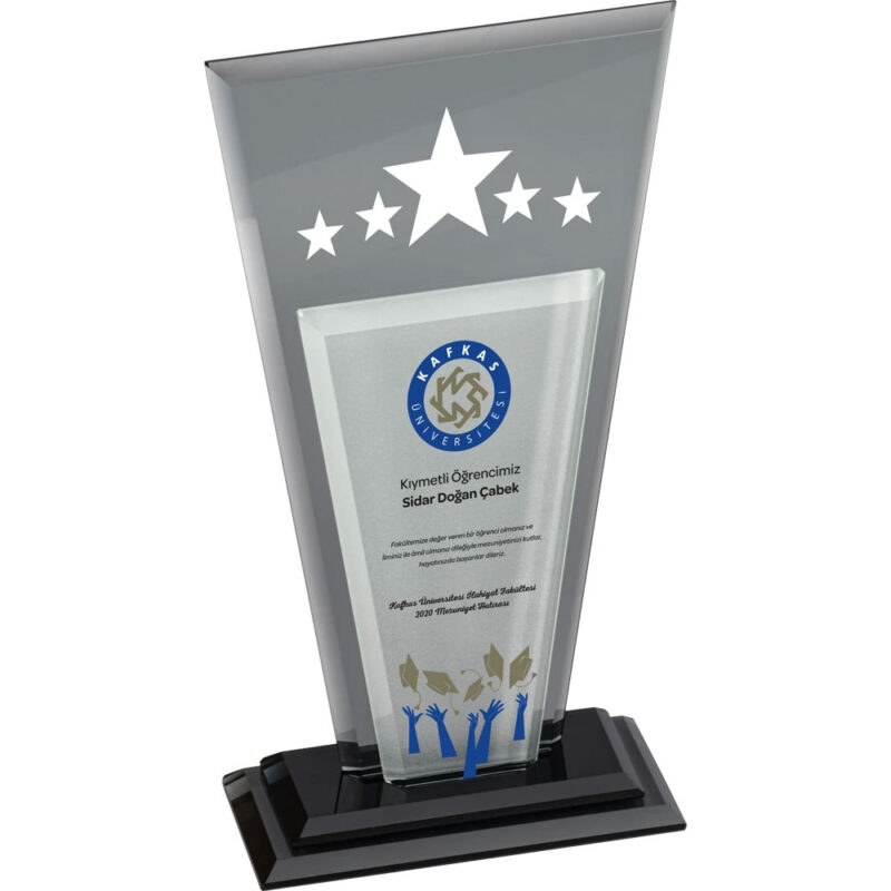 Ekt-360 13 x 25 cm kristal plaket