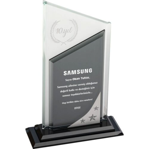 EKT-730 15 x 25 cm Kristal Plaket