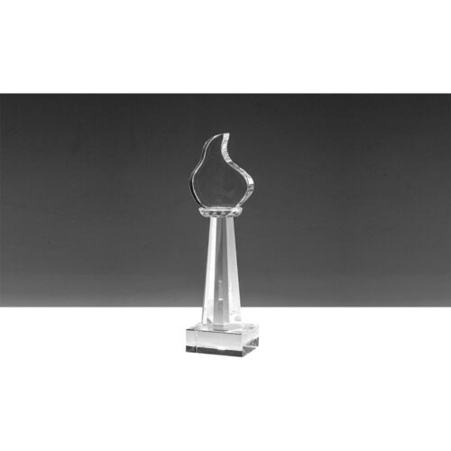 H-5 6 x 16 cm Kristal Ödül