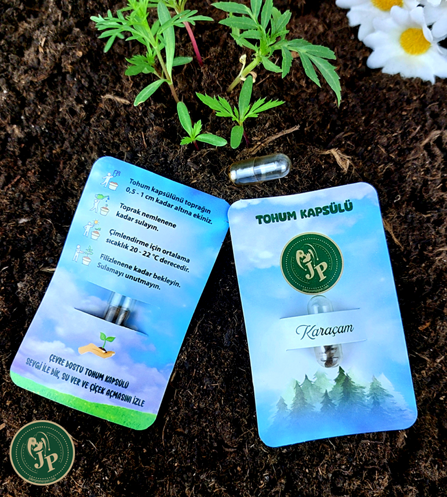 Aplus promosyon ürünleri » karacam tohum kapsulu