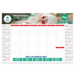 MS-20 48 x 34 cm Tarihsiz Masa Sümeni